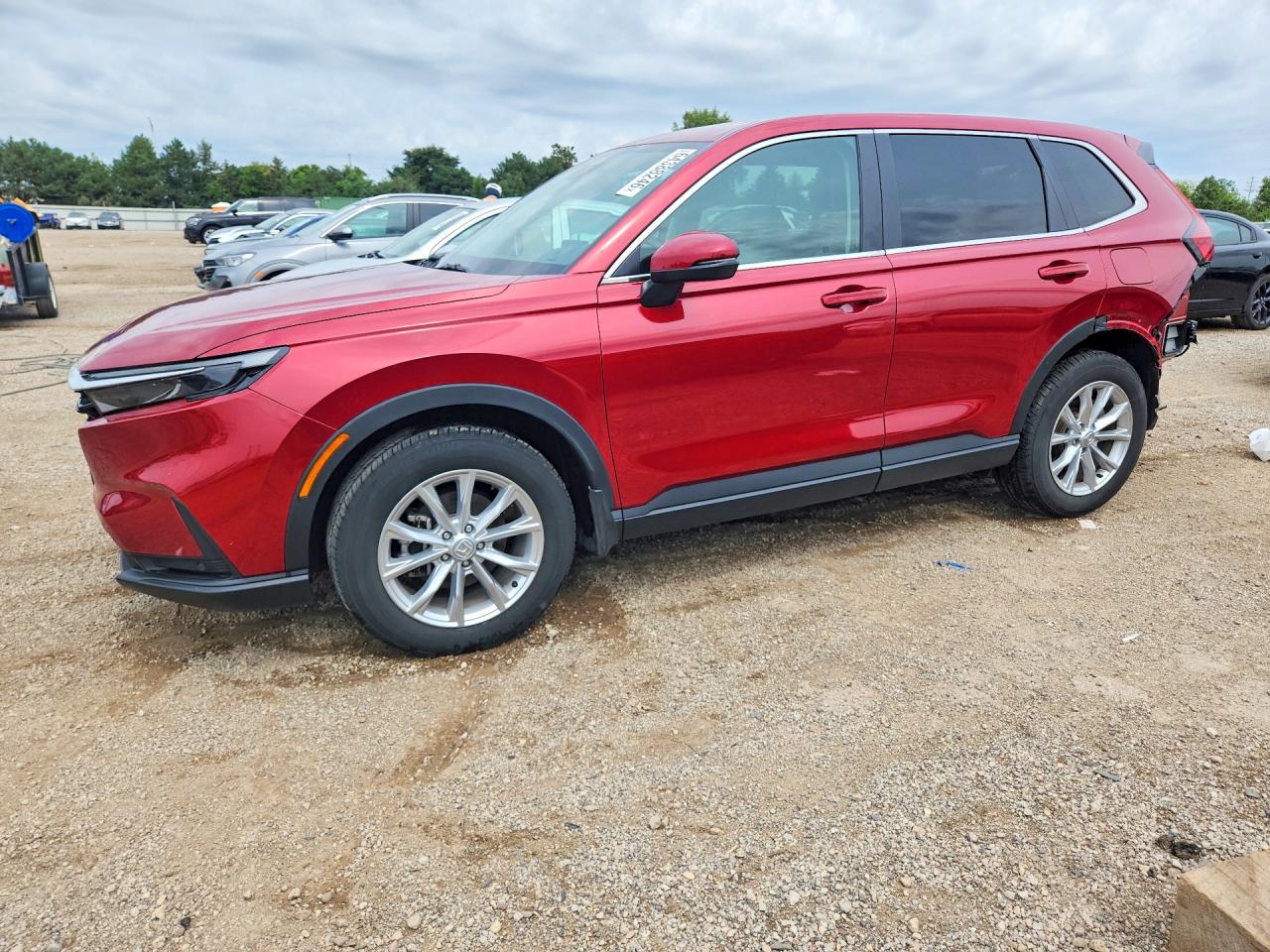 2025 HONDA CR-V EX-L