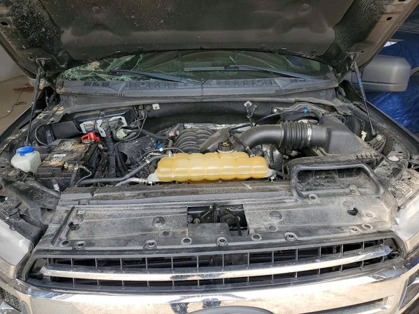 2019 FORD F150