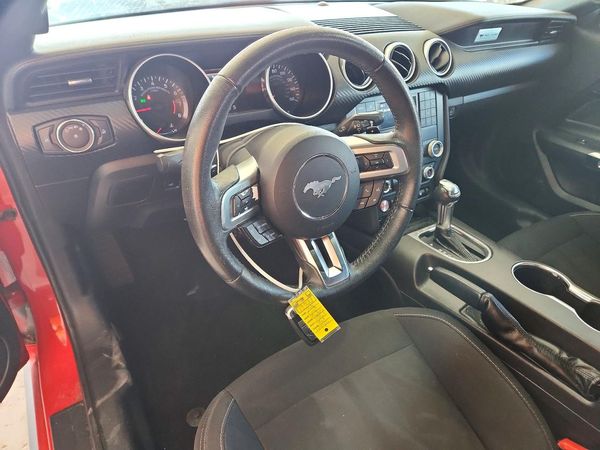 2019 FORD MUSTANG