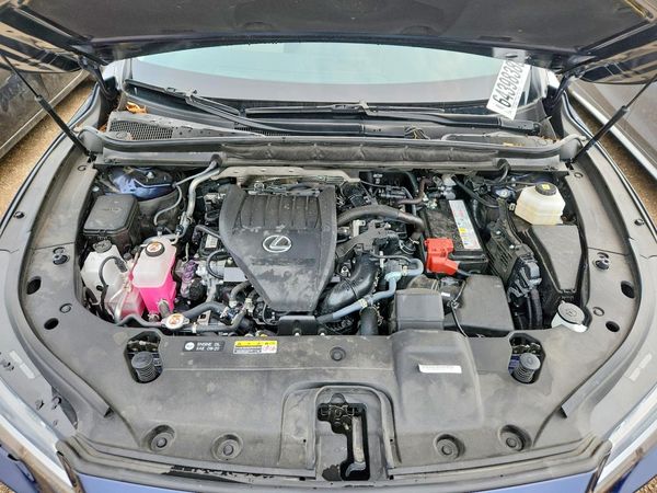 2024 LEXUS RX 350
