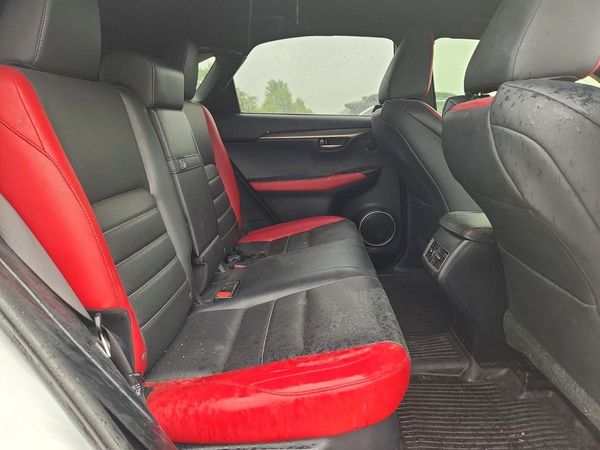 2018 LEXUS NX 300 300 Luxury