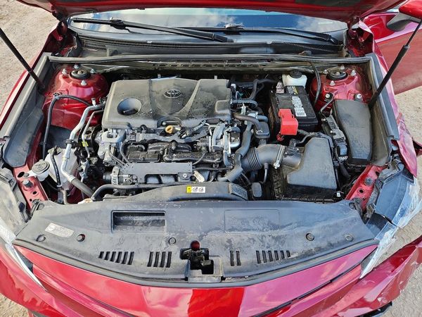 2019 TOYOTA CAMRY L/LE/SE/XLE