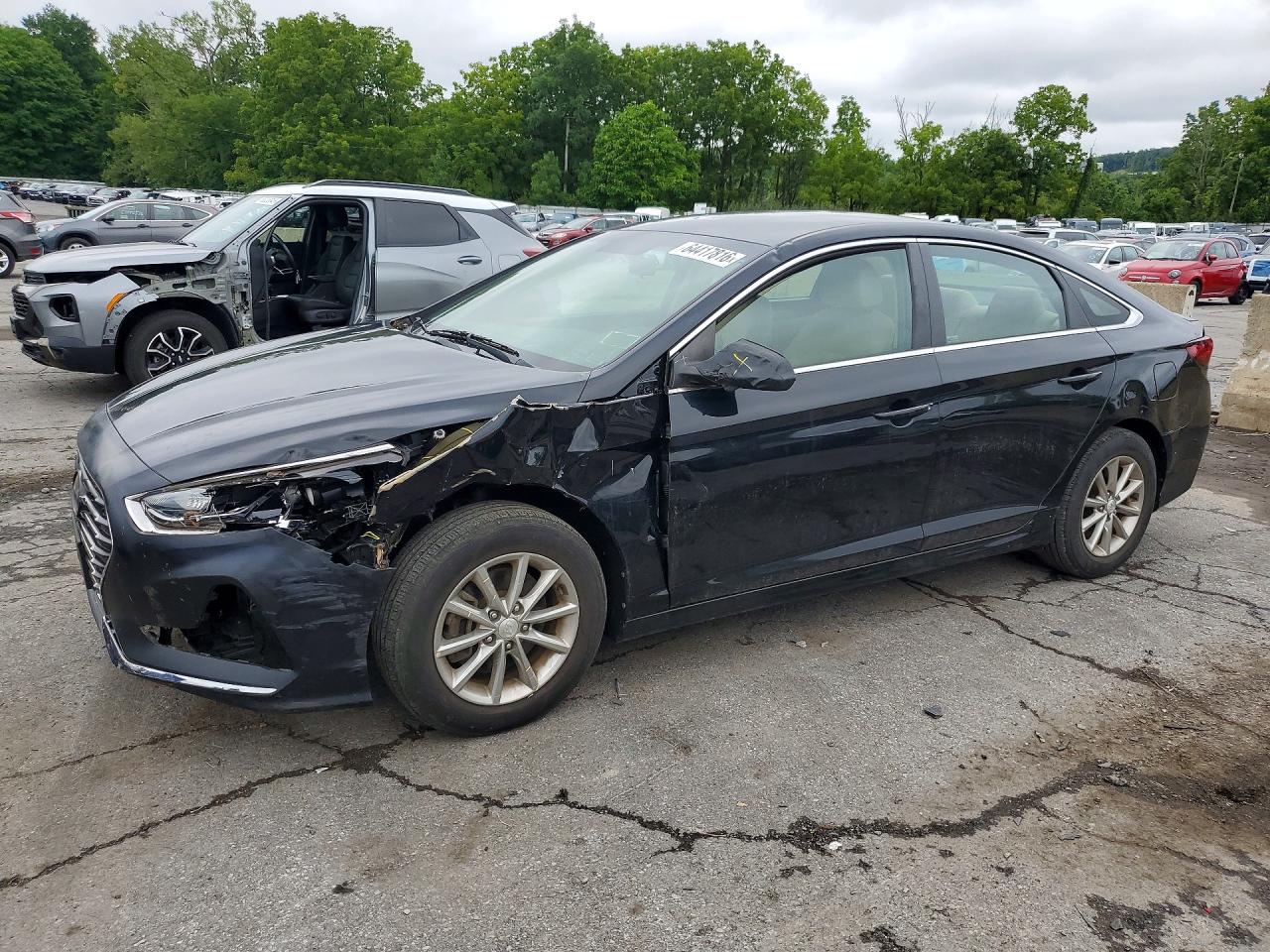 2019 HYUNDAI SONATA Eco Turbo, SE