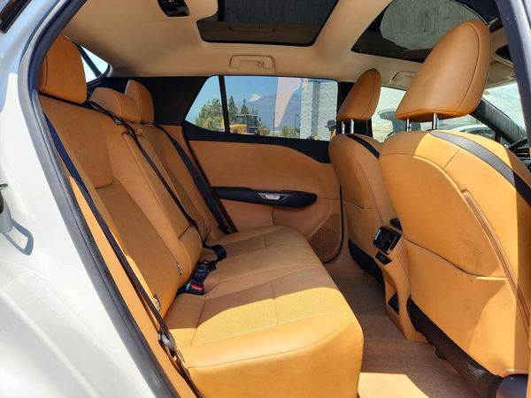 2024 LEXUS RZ 300e