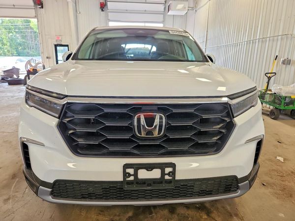 2025 HONDA PILOT EX-L, EX-L HPD
