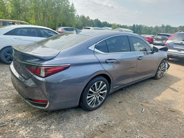 2019 LEXUS ES 300h