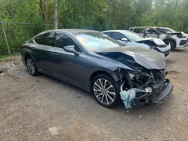 2019 LEXUS ES 300h