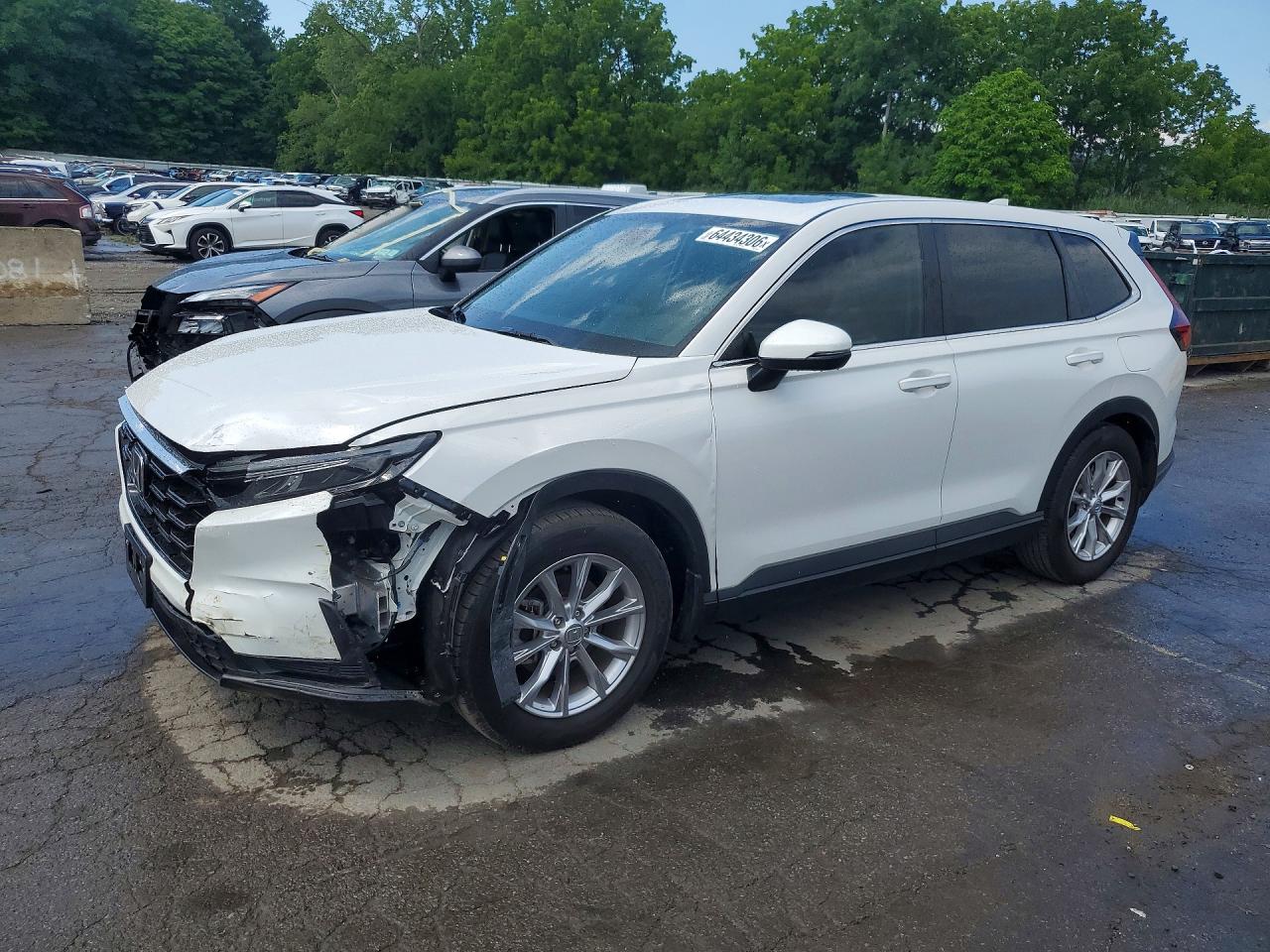 2025 HONDA CR-V EX-L