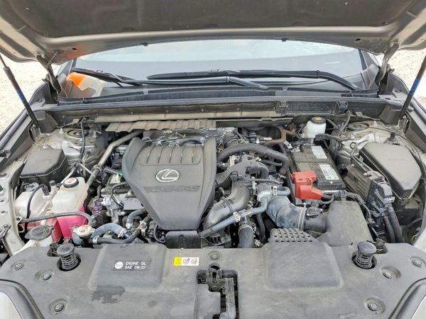 2023 LEXUS NX 350 Premium