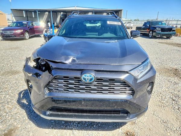 2019 TOYOTA RAV4