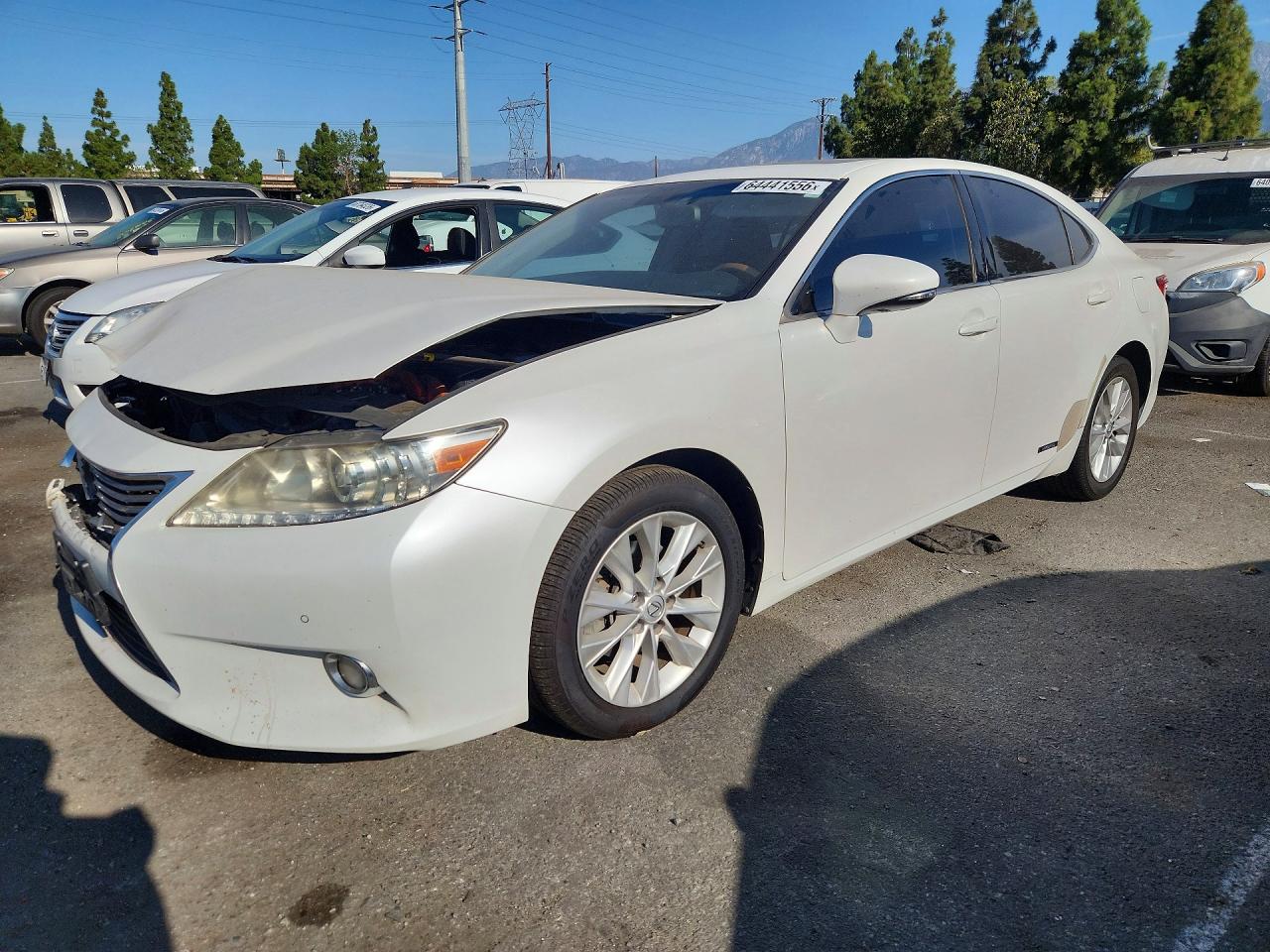 2013 LEXUS ES 300h