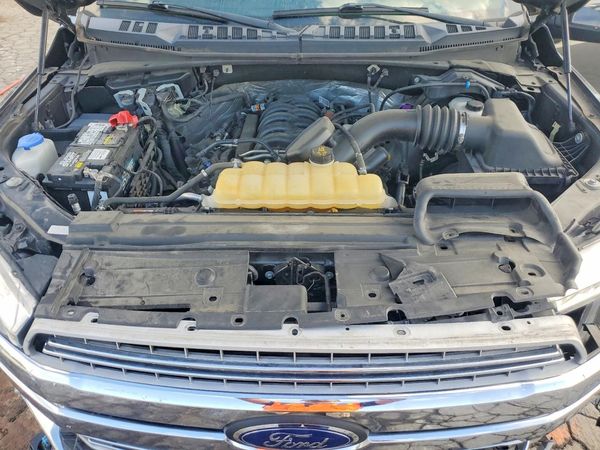 2019 FORD F150