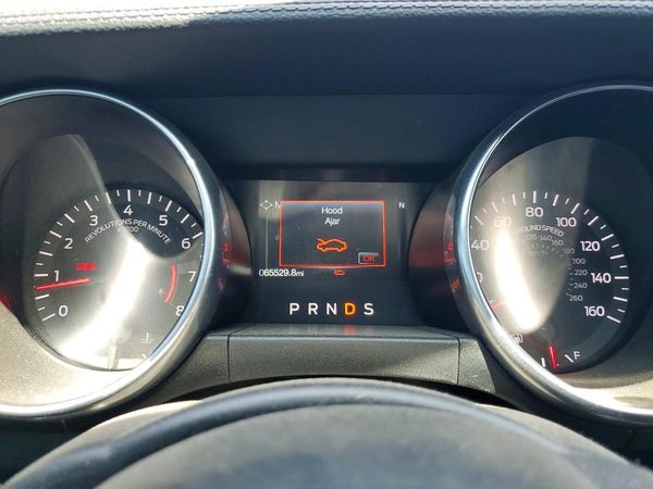 2019 FORD MUSTANG