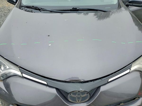 2016 TOYOTA RAV4 XLE (M Grade)