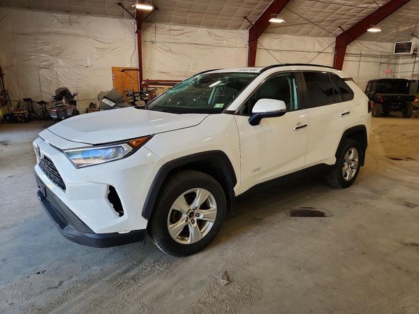2019 TOYOTA RAV4 XLE / XLE Premium 4WD