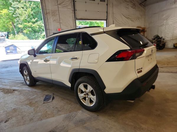 2019 TOYOTA RAV4 XLE / XLE Premium 4WD