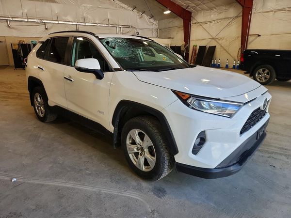 2019 TOYOTA RAV4 XLE / XLE Premium 4WD