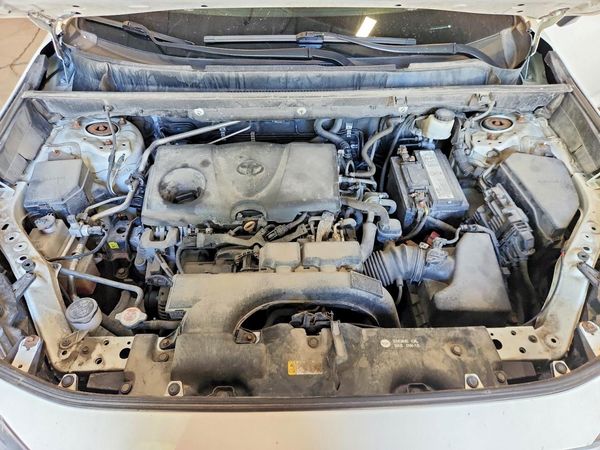 2019 TOYOTA RAV4 XLE / XLE Premium 4WD