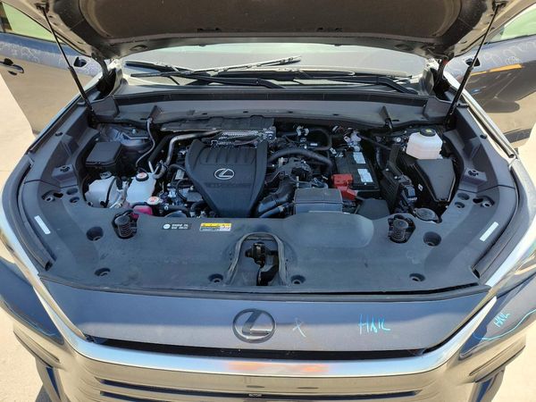 2025 LEXUS TX 350