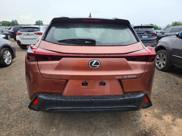 2025 LEXUS UX 300H