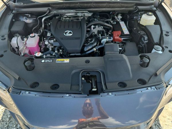 2025 LEXUS RX 350