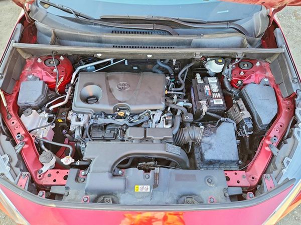 2019 TOYOTA RAV4 XLE Premium