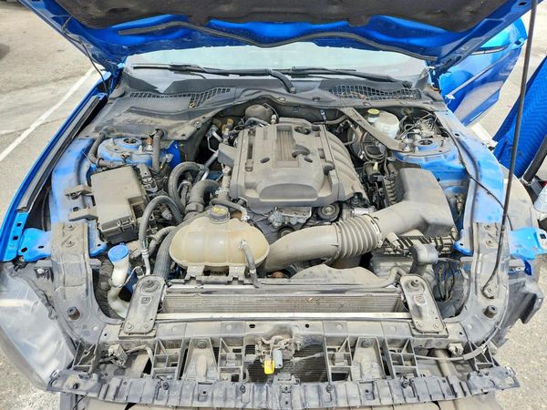 2020 FORD MUSTANG I4 Convertible