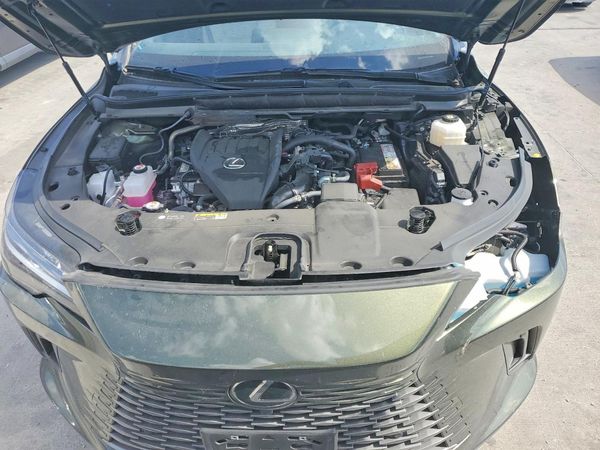 2023 LEXUS RX 350