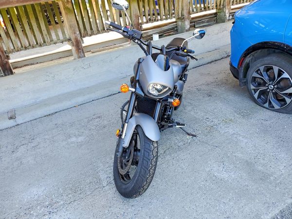 2019 SUZUKI CYC VZ/VZR — DIRF