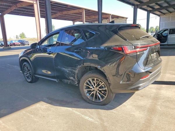 2023 LEXUS NX 350h Base
