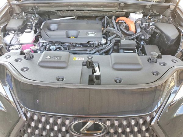 2023 LEXUS NX 350h Base