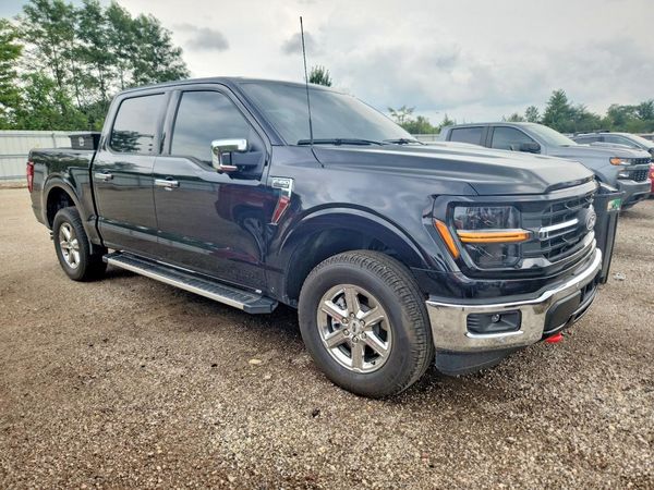 2025 FORD F150 XLT