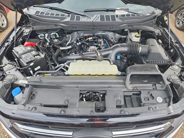 2025 FORD F150 XLT
