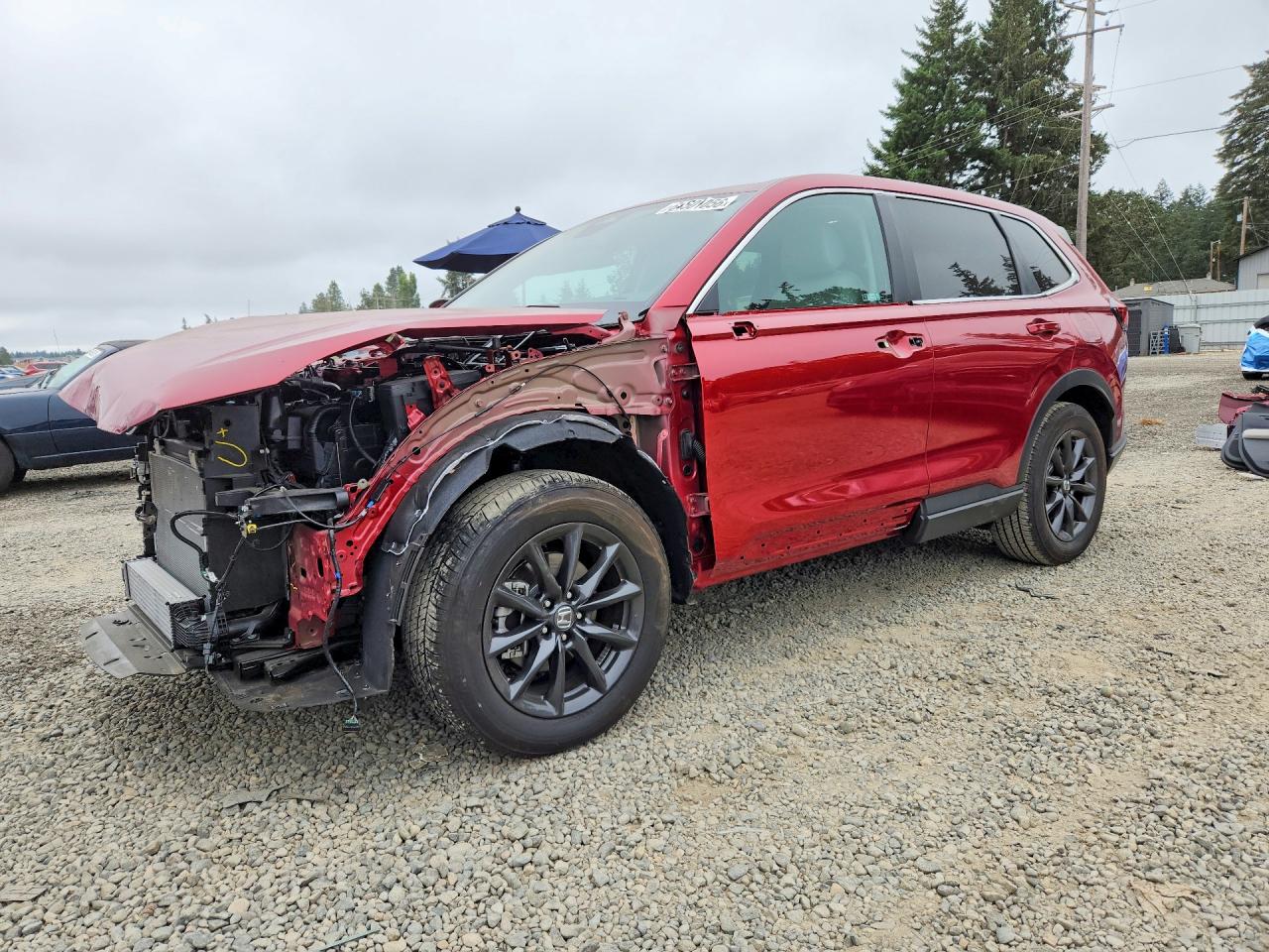 2026 HONDA CR-V EX-L