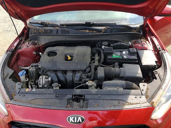 2019 KIA FORTE