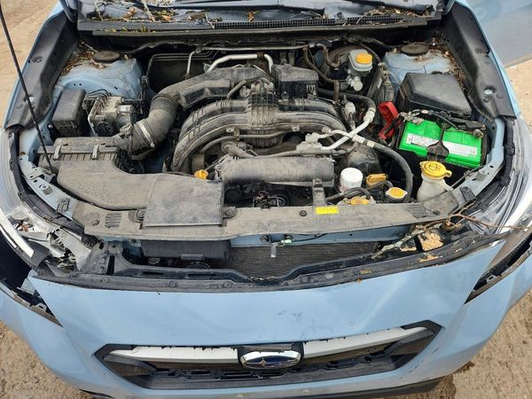 2019 SUBARU CROSSTREK