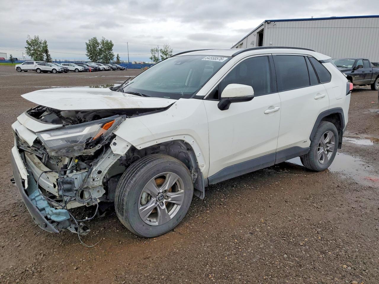 2023 TOYOTA RAV4 XLE