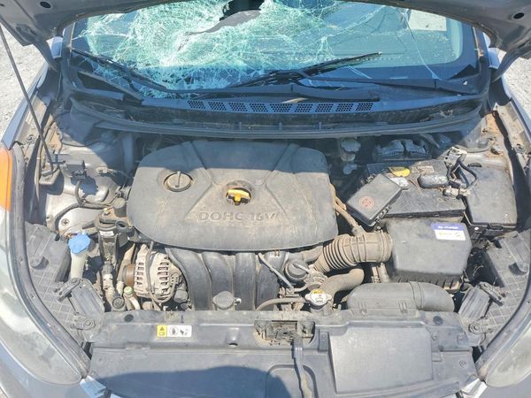 2013 HYUNDAI ELANTRA