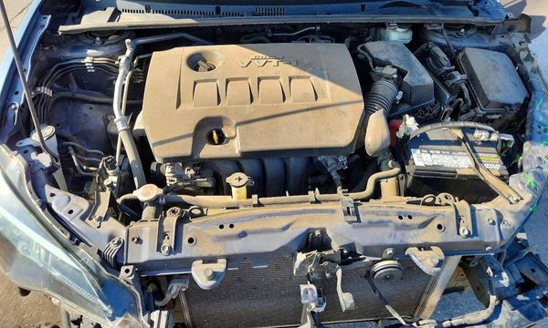 2019 TOYOTA COROLLA L/LE/SE/XLE/XSE