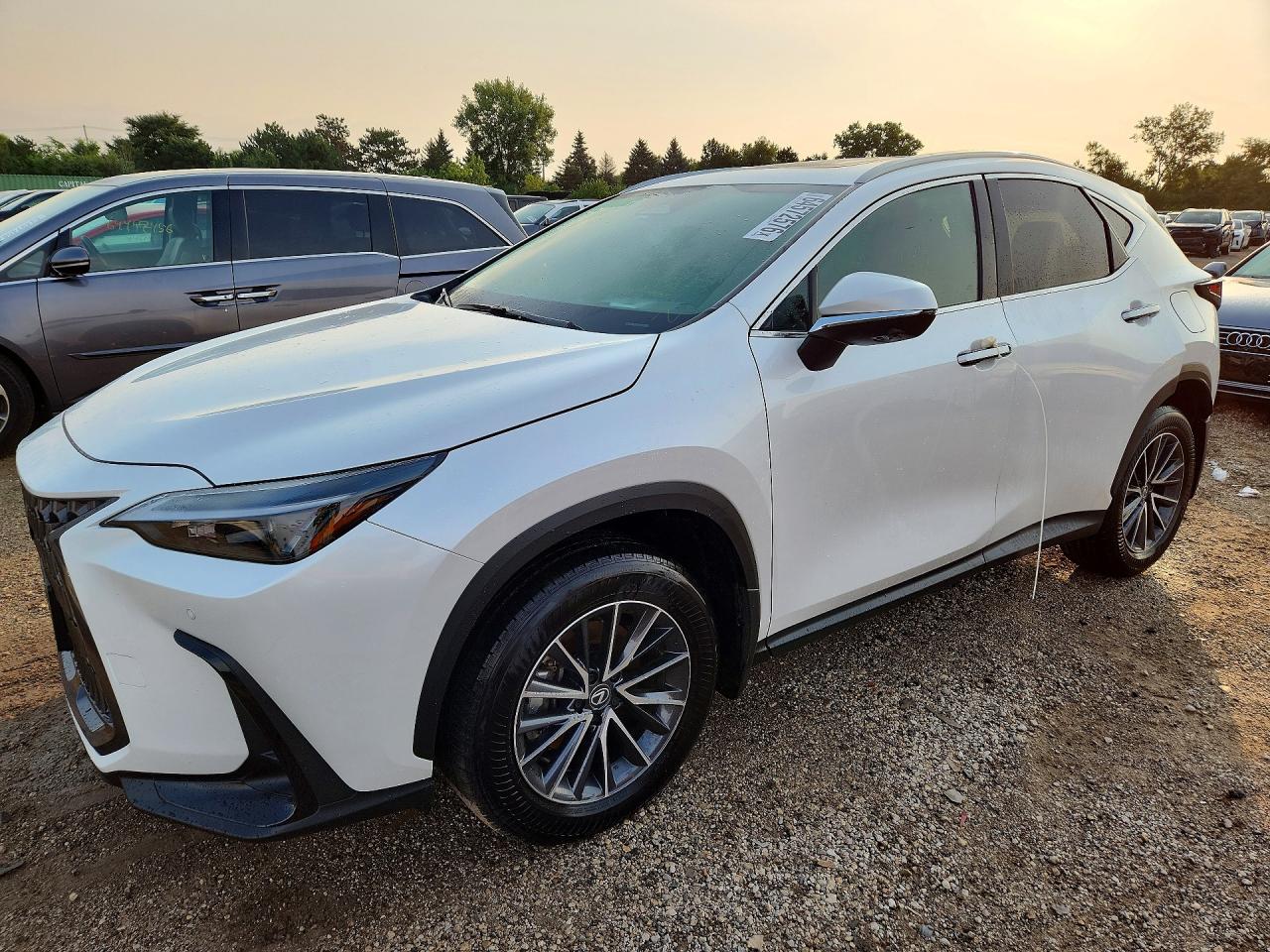 2025 LEXUS NX