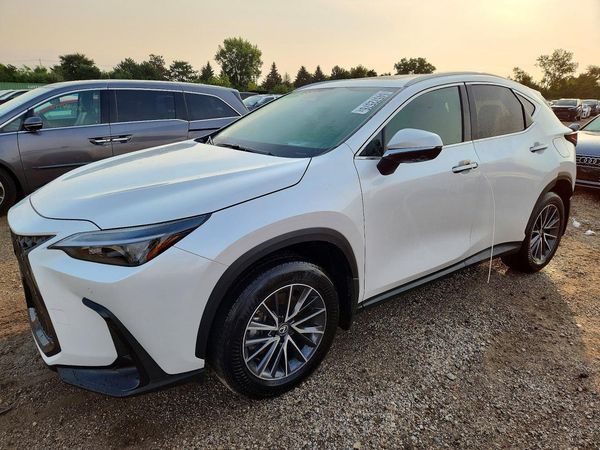 2025 LEXUS NX