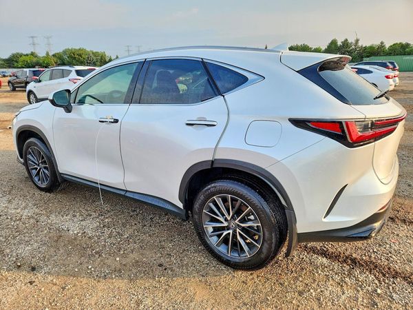 2025 LEXUS NX