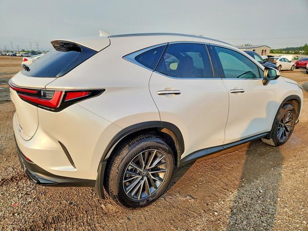 2025 LEXUS NX