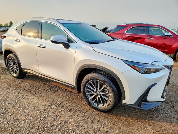 2025 LEXUS NX