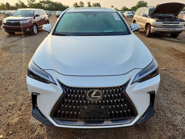 2025 LEXUS NX
