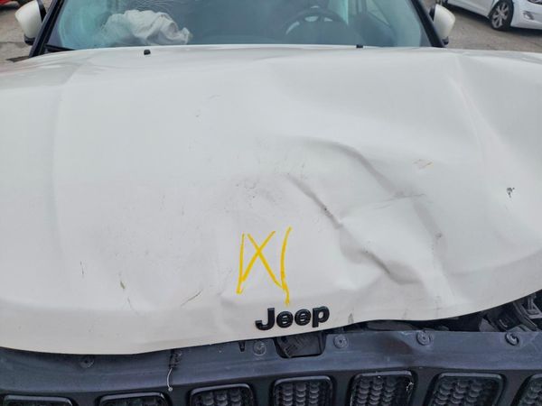 2019 JEEP COMPASS — Engine bay