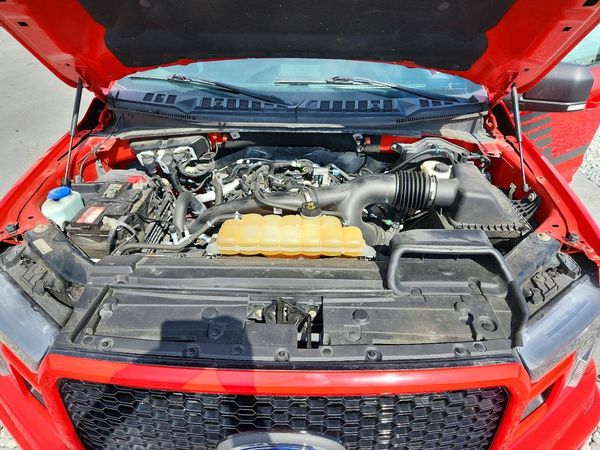 2019 FORD F150