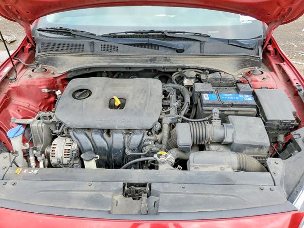 2019 KIA FORTE FE/LX/LXS
