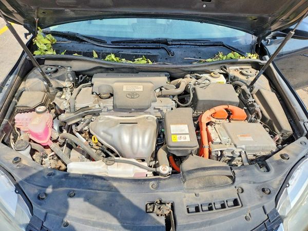 2017 TOYOTA CAMRY LE/SE/XLE Hybrid
