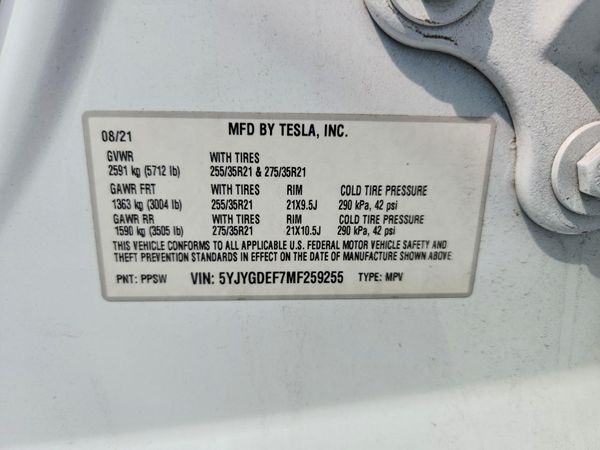 2021 TESLA MODEL Y